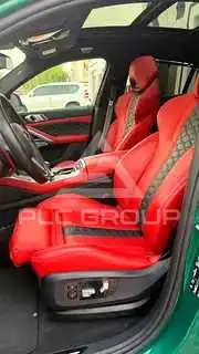 2024 BMW X6