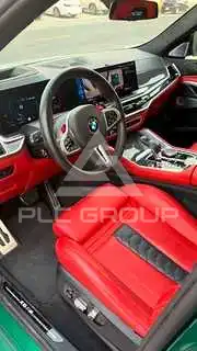 2024 BMW X6