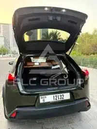 2024 Lexus UX