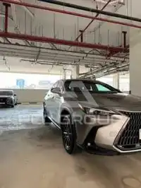 2024 Lexus NX