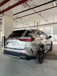 2024 Lexus NX