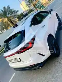 2024 Lexus NX