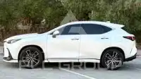 2025 Lexus NX