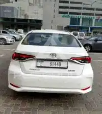 2024 Toyota COROLLA