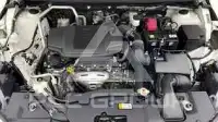 2024 Toyota YARIS
