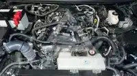 2024 Toyota Prado