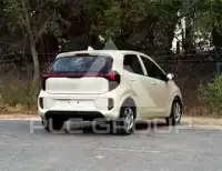 2024 KIA Picanto
