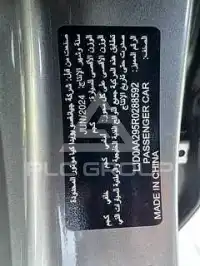 2024 KIA Pegas