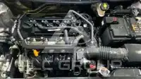 2024 KIA Pegas
