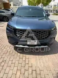 2024 Ford Territory