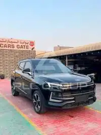 2024 JAC J4