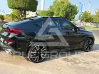 2025 BMW X6