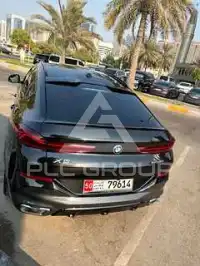 2025 BMW X6