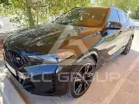 2025 BMW X6