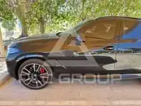 2025 BMW X6