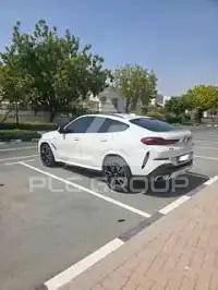 2025 BMW X6