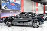2025 BMW X6