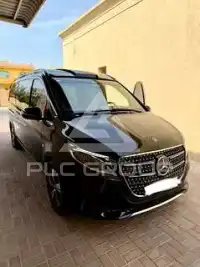 2025 Mercedes Benz V