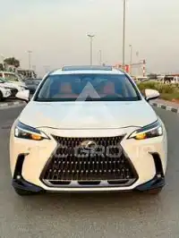 2025 Lexus NX