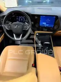 2025 Lexus NX