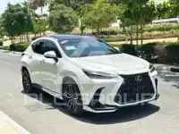 2025 Lexus NX