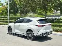 2025 Lexus NX