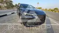 2025 Lexus NX
