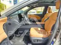 2025 Lexus RX