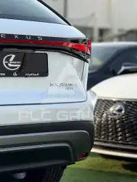 2025 Lexus RX