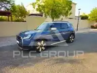2025 Mini Countryman