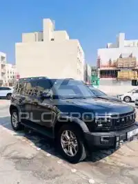 2025 Jetour T2
