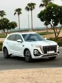 2025 Hongqi Hs5