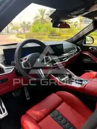 2026 BMW X6