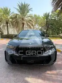 2026 BMW X6