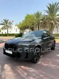 2026 BMW X6