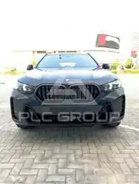 2026 BMW X6
