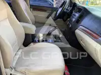 2009 Mitsubishi PAJARO