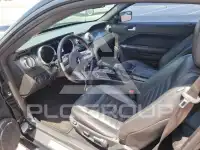 2009 Ford MUSTANG