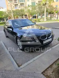 2010 BMW 523