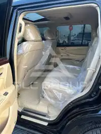 2010 Lexus LX570
