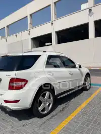 2010 Mercedes Benz Ml 350