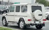 2010 Mercedes Benz G 500