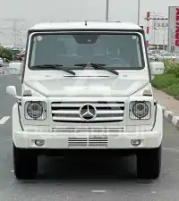 2010 Mercedes Benz G 500