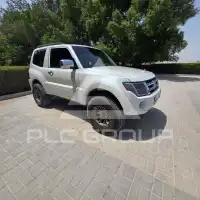 2013 Mitsubishi PAJARO