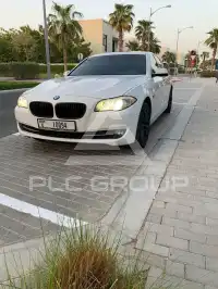 2013 BMW 530