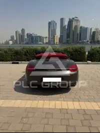 2013 Porsche 718