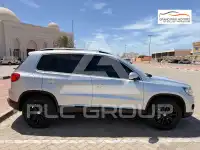 2014 Volkswagen Tiguan
