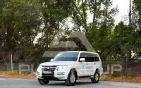 2016 Mitsubishi PAJARO