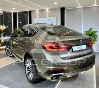 2018 BMW X6