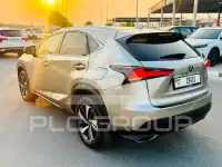 2018 Lexus NX300